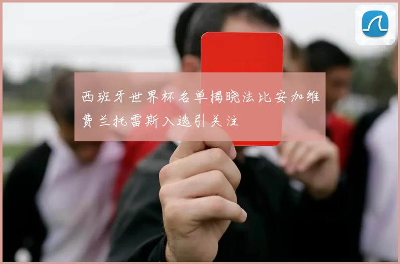 西班牙世界杯名单揭晓法比安加维费兰托雷斯入选引关注