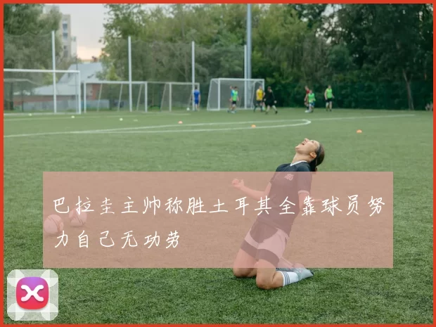 巴拉圭主帅称胜土耳其全靠球员努力自己无功劳