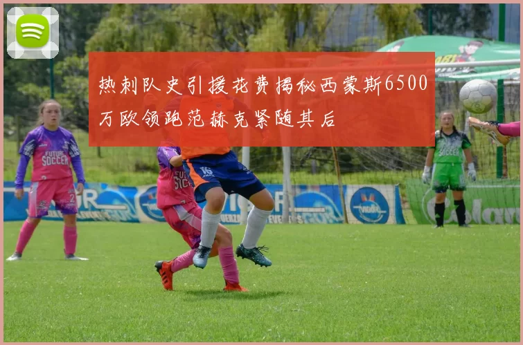 热刺队史引援花费揭秘西蒙斯6500万欧领跑范赫克紧随其后