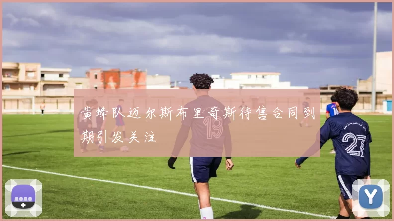 黄蜂队迈尔斯布里奇斯待售合同到期引发关注