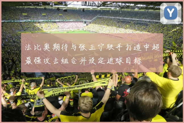 法比奥期待与张玉宁联手打造中超最强攻击组合并设定进球目标